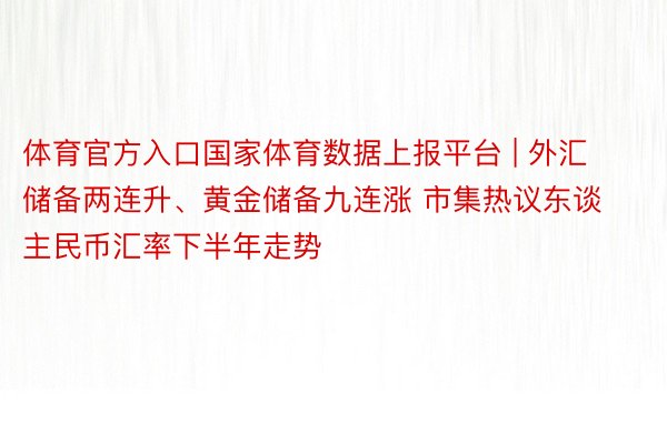 体育官方入口国家体育数据上报平台 | 外汇储备两连升、黄金储备九连涨 市集热议东谈主民币汇率下半年走势