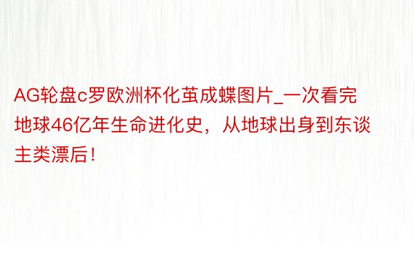 AG轮盘c罗欧洲杯化茧成蝶图片_一次看完地球46亿年生命进化史，从地球出身到东谈主类漂后！