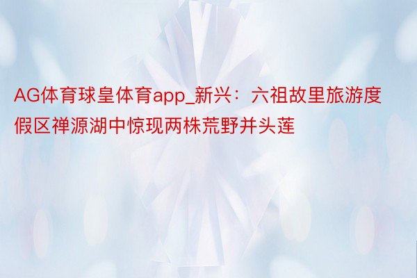 AG体育球皇体育app_新兴：六祖故里旅游度假区禅源湖中惊现两株荒野并头莲