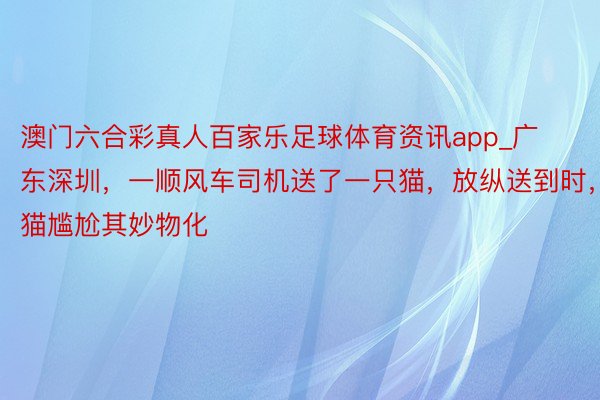 澳门六合彩真人百家乐足球体育资讯app_广东深圳，一顺风车司机送了一只猫，放纵送到时，猫尴尬其妙物化