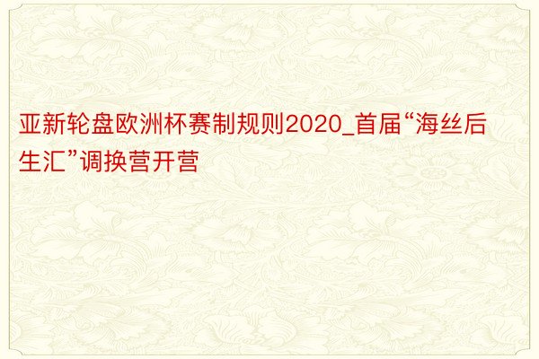 亚新轮盘欧洲杯赛制规则2020_首届“海丝后生汇”调换营开营