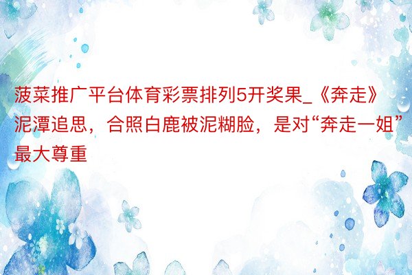 菠菜推广平台体育彩票排列5开奖果_《奔走》泥潭追思，合照白鹿被泥糊脸，是对“奔走一姐”最大尊重