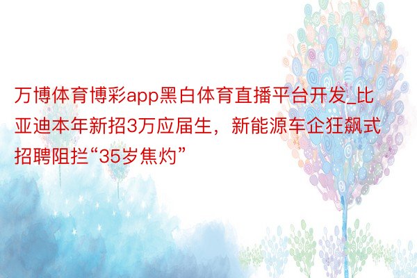 万博体育博彩app黑白体育直播平台开发_比亚迪本年新招3万应届生，新能源车企狂飙式招聘阻拦“35岁焦灼”